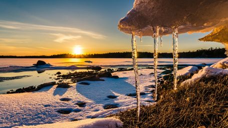 Icicles at Dawn by the Frozen Shore wallpaper