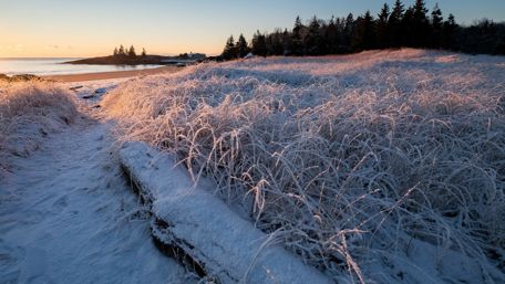 Winter's Frozen Serenity Over Lake and Shoreline wallpaper