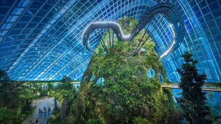 Marina Bay Garden (Gardens by the Bay) wallpaper