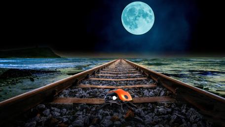 Railway ladybug wallpaper