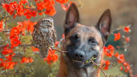 Cutest friendship wallpaper