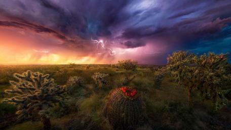 Desert storm wallpaper