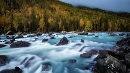 Kanas Lake Nature Reserve wallpaper