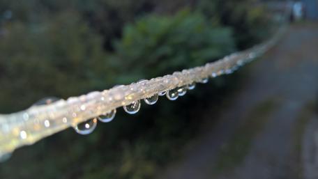 Glistening Water Drops on a String wallpaper