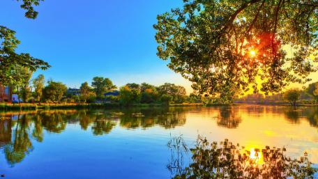 Serenity in Nature's Reflection wallpaper
