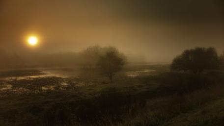 Foggy morning wallpaper