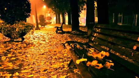 Benches on the street wallpaper