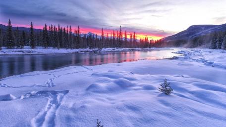 Winter Serenity in Nature's Embrace wallpaper