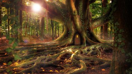 Tree house - Fantasy art wallpaper