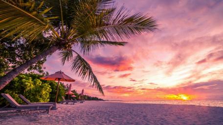 Tropical sunset wallpaper