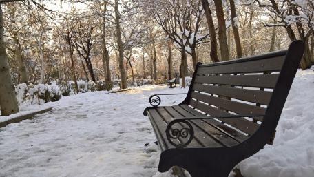 Bench in the snowy park in Tehran wallpaper