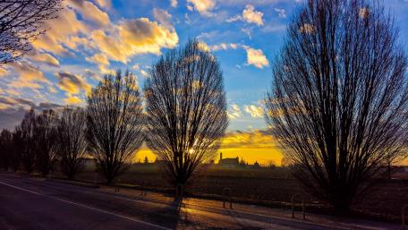 Majestic Evening Skies with Silhouetted Trees wallpaper