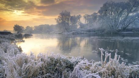 Misty morning wallpaper