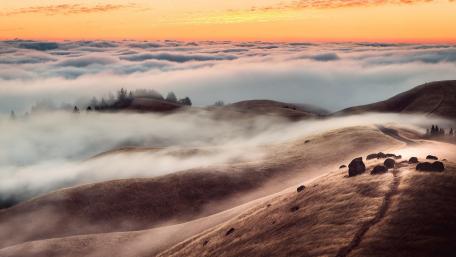 Misty Dawn Over Rolling Hills wallpaper