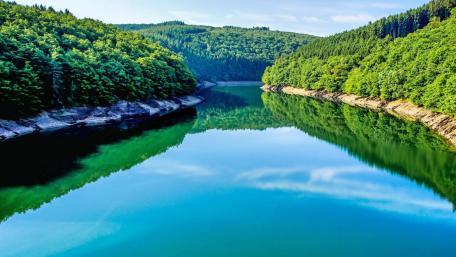 Serenity of a Reflective Riverbank View wallpaper