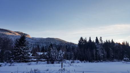 Winter Wonderland at Dusk in Canada wallpaper