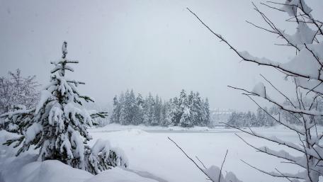 Winter Wonderland in Canada wallpaper