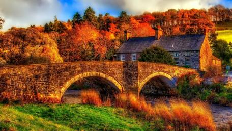 Autumn Serenity in a Countryside Scene wallpaper