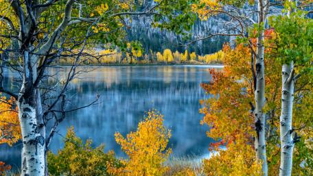 June Lake (California) wallpaper