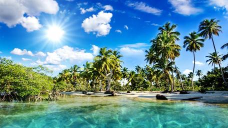 Tropical Paradise Awaits You wallpaper