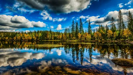 Autumn forest reflection wallpaper