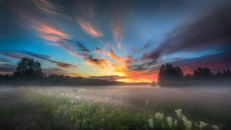 Summer sunrise wallpaper