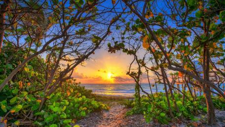 Carlin Park autumn sunrise (Jupiter, Florida) wallpaper