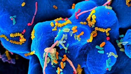 Microbes wallpaper
