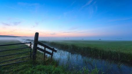 Serene Dawn Over Misty Wetlands wallpaper