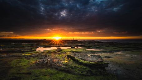 Seaside sunrise wallpaper