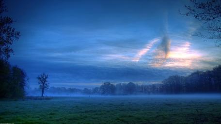 Misty Dawn Over Tranquil Field wallpaper