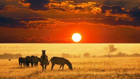 Arusha Safari at sunrise wallpaper