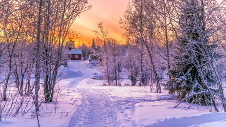 Winter Wonderland at Sunset wallpaper