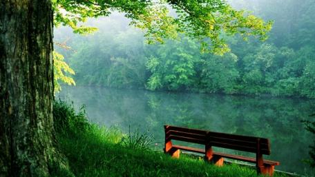Tranquil Morning by the Riverside Bench wallpaper