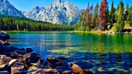 Mountain Serenity and Forest Reflections wallpaper