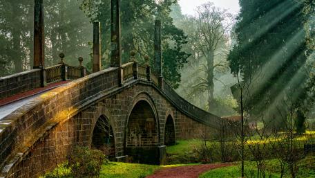 Dumfries House Estate park bridge wallpaper
