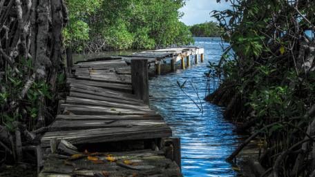 Serene Boardwalk Over Blue Waters wallpaper