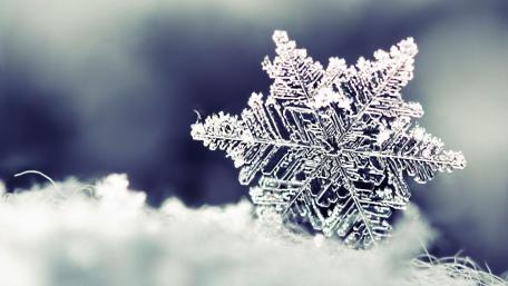 Snowflake wallpaper