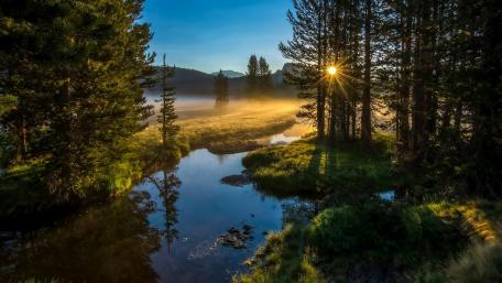 Morning sunlight wallpaper