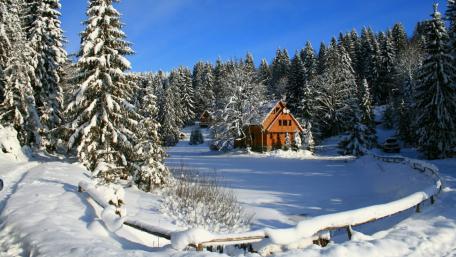 Cabins at Lake Vita (Ozero Vita) in Transcarpathia wallpaper