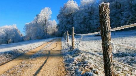Frozen fence wallpaper
