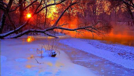 Winter Sunset by the Frozen Lake wallpaper