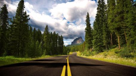 Winding Road Through Lush Wilderness wallpaper