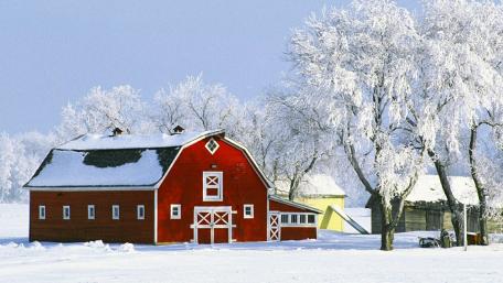 Winter Serenity in a Charming Cottage Landscape wallpaper