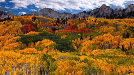 Autumn's Colorful Wilderness Scene wallpaper