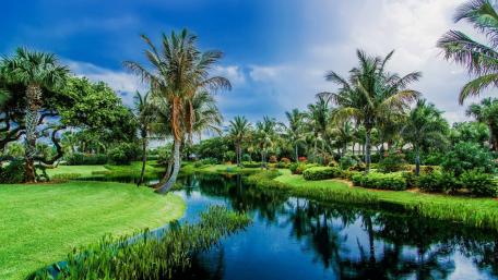 Tropical Serenity in Vibrant Nature wallpaper