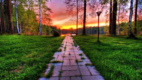 Serene Evening Walkway Through Nature's Beauty wallpaper
