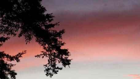 Serene Silhouette at Dusk wallpaper