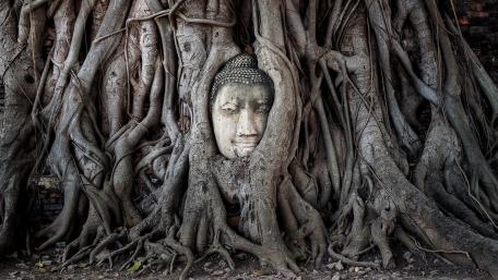 The famous Buddha tree (Ayutthaya Historical Park, Thailand) wallpaper