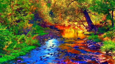 Autumn forest creek wallpaper